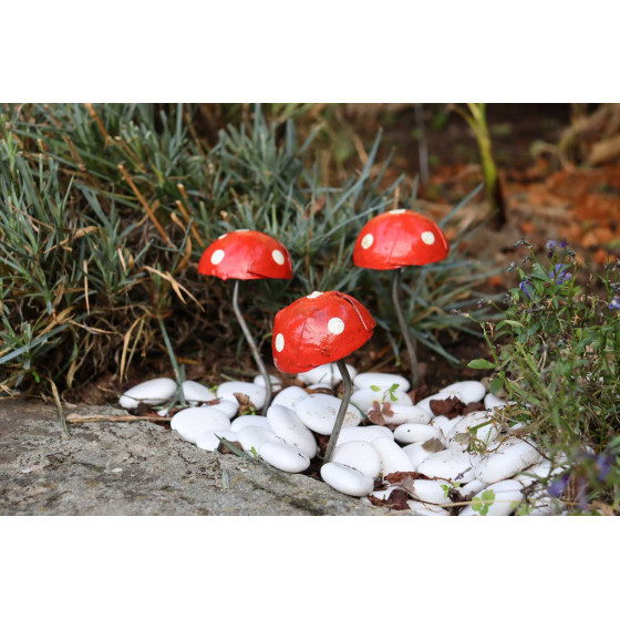 champignon decoratif