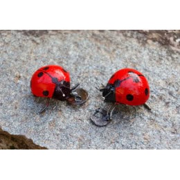 coccinelle à accrocher