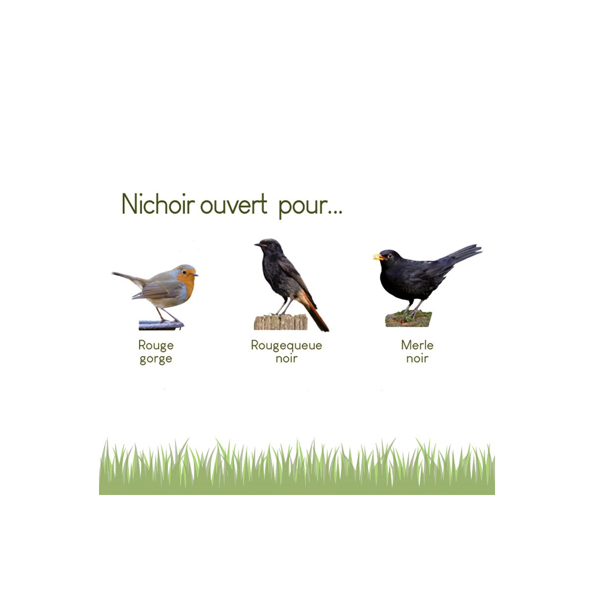 GARDIGO® Nichoir en Bois à Oiseaux, Mangeoire Oiseaux Sauvages, Cage  Oiseau Extérieur, Cabane d'oiseaux, 16 x 19,5 x 11,5 cm