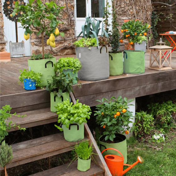 sac de plantation pour tomates