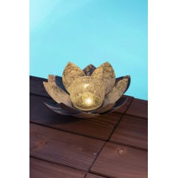 lotus solaire gris