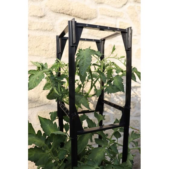 cages à tomates tuteur tomates