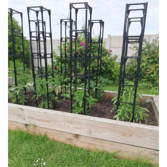 cage à tomates pour tuteurer les tomates