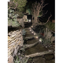 Guirlande solaire à planter 10 LED blanche 5,5 m