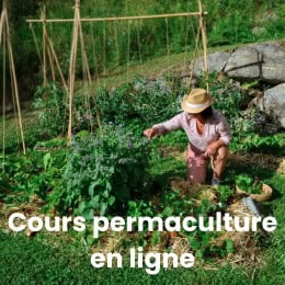 Accompagnement permaculture cours potager en ligne