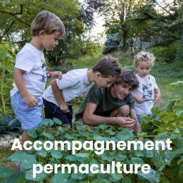 Accompagnement permaculture cours potager en ligne