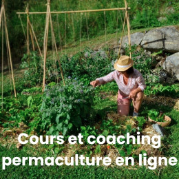 Accompagnement permaculture cours potager en ligne