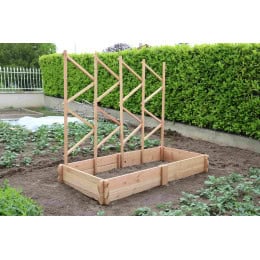 treillis bois jardinage tomates
