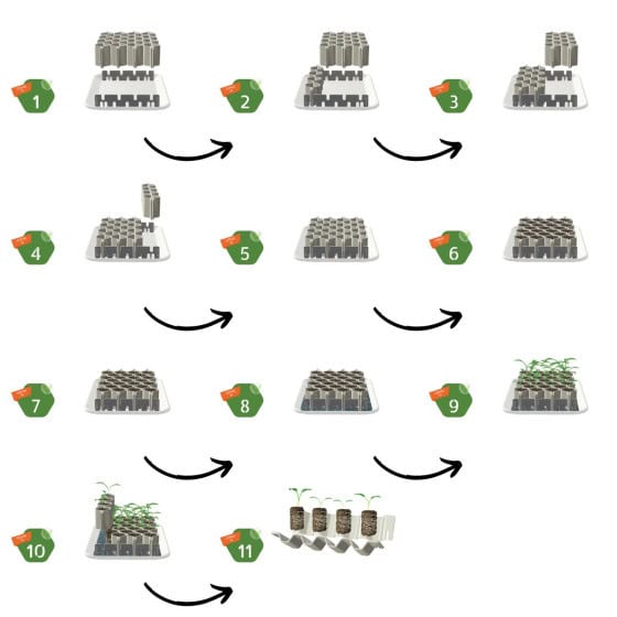 Étape du fonctionnement du kit de germination