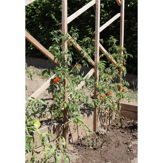 Treillages en bois pour tomates