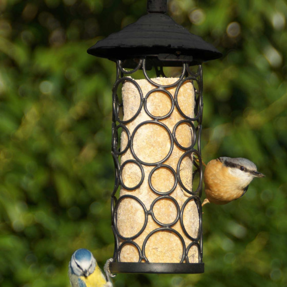 Mangeoire silo pour oiseaux