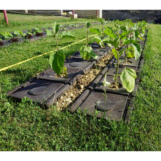 Paillage rigide pour le jardin potager