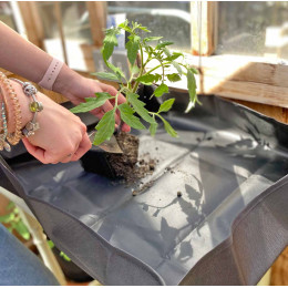 Tapis de rempotage pour semis