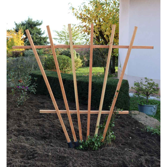 Support en bois pour plantes grimpantes