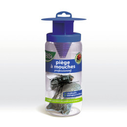 Piège à mouches
