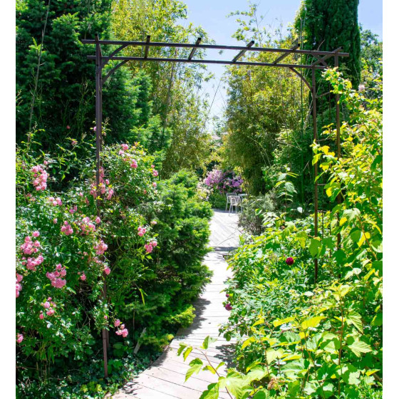 Pergola de jardin pour plante grimpante