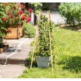 Tuteur pour plante grimpante