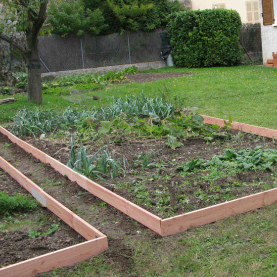 Bordure potager bois français