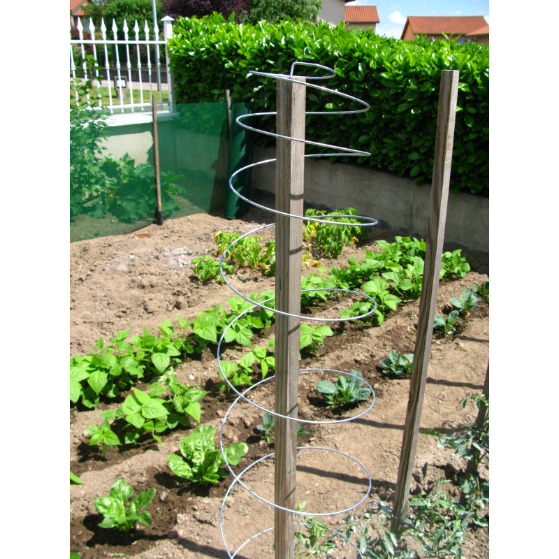 Piquets de support pour plantes grimpantes - Treillis de jardin pour  tomates - Treillis en métal pour plantes grimpantes et supports de fleurs 