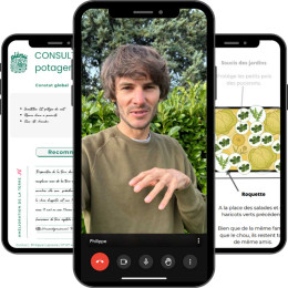Coaching en ligne potager personnalisé