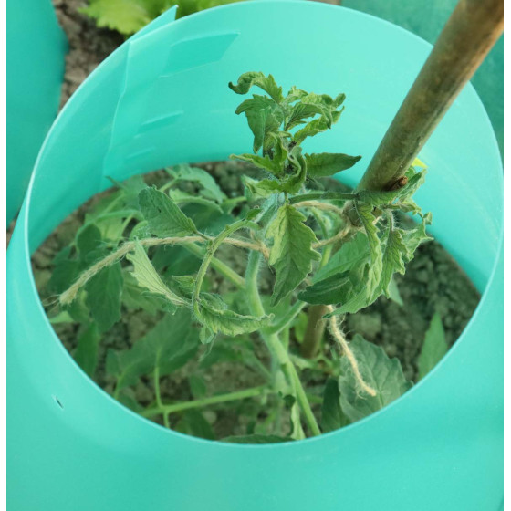Cône de forçage potager diamètre 45 cm