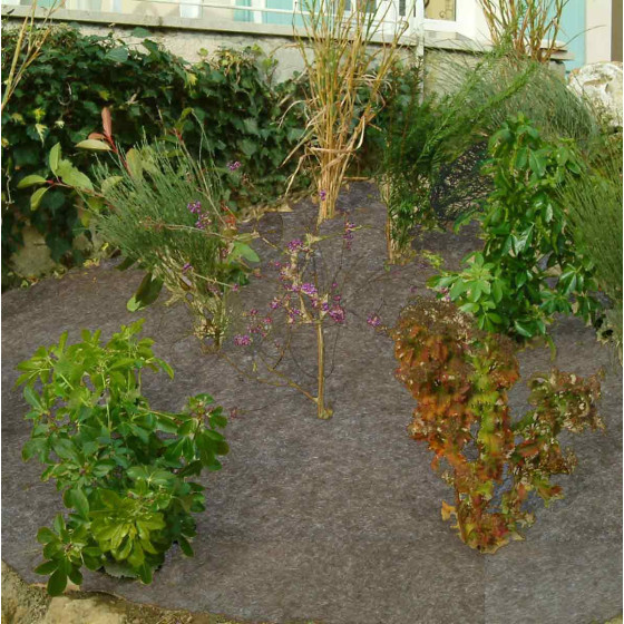 feutre de paillage biodégradable à base de fibre plastique