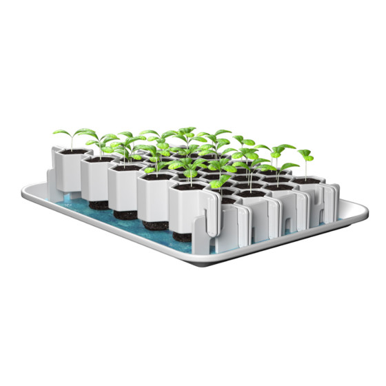 Kit germination semis
