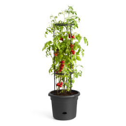 Pot pour culture tomate