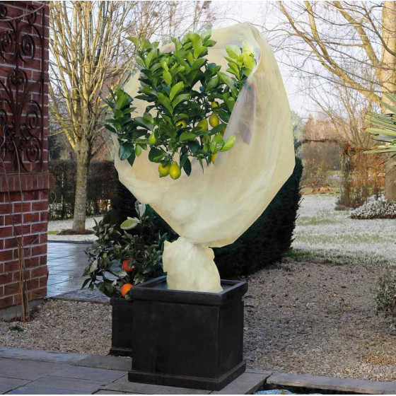 Voile hivernage