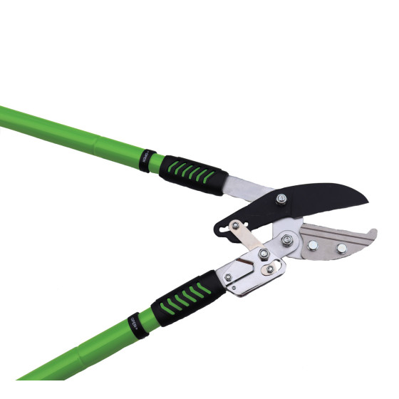 taille branche telescopique