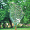 filet protection arbre fruitier