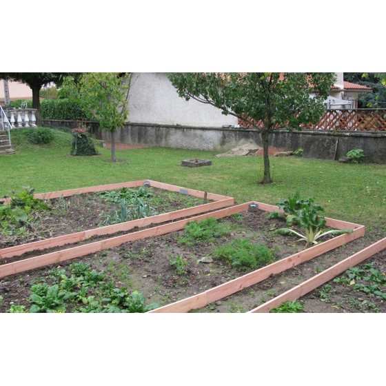 Bordure en bois pour potager