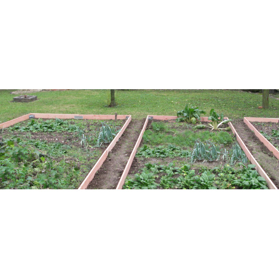 Bordure de jardin en bois