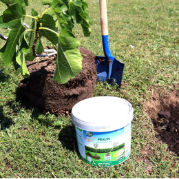 Pralin pour plantation fabrication française