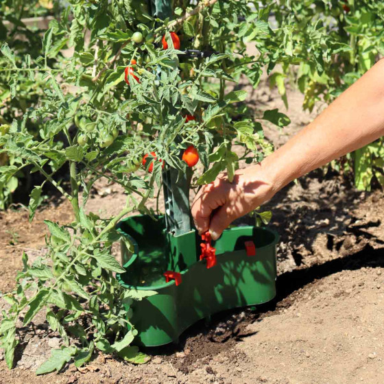 Réservoir d'eau goutte à goutte pour tuteur tomate (les 3)