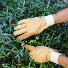 Gants de jardinage Femme en cuir