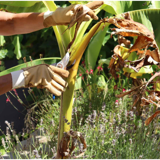 gants de jardin en cuir