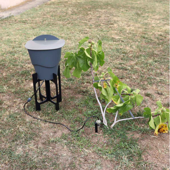 Systeme d'arrosage à goutte pour arbre fruitier Systeme d'arrosage à goutte pour arbre fruitier