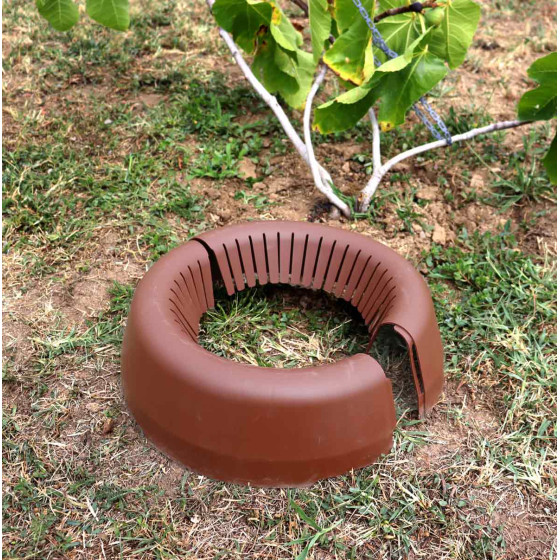 arrosage arbre après plantation solution anti gaspillage