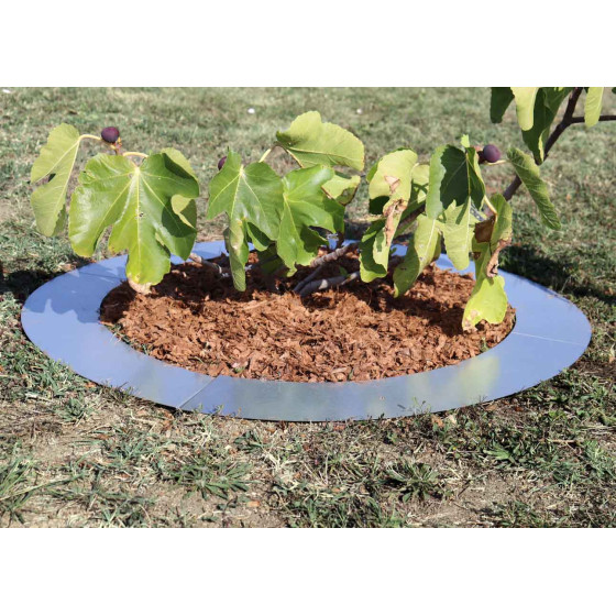 entourage d'arbre rond avec paillage