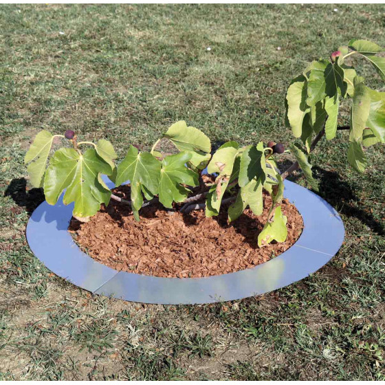 entourage d'arbre rond ideal pour tondeuse