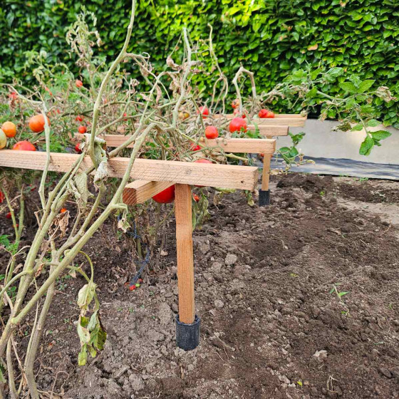 Tuteur pour haricots grimpants et pois