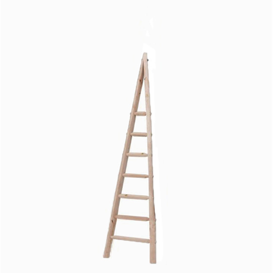 Echelle arboricole en bois 2,45 m