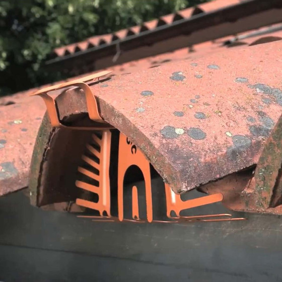 Grille pour tuile anti oiseau