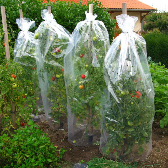 housse perforée pour tomates