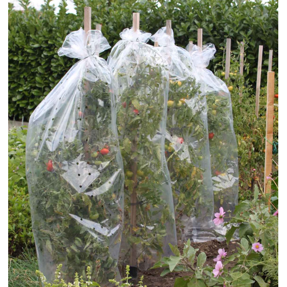 housse de protection pour tomates