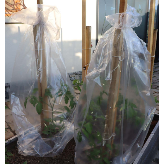 housses de forçage tomates