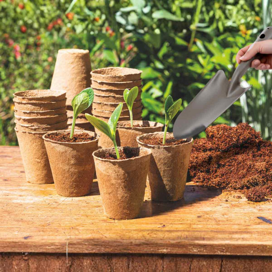 transplantoir acier forgé France