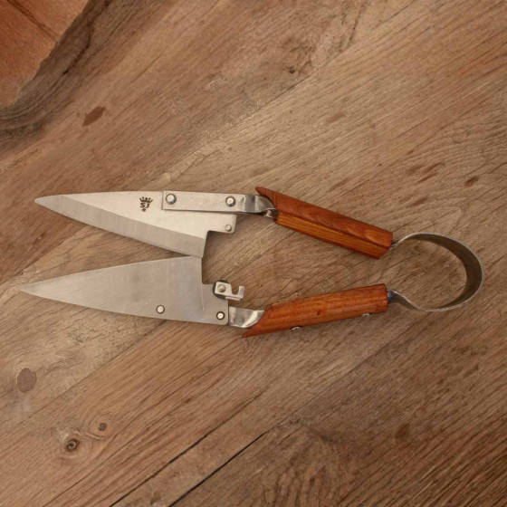 ciseaux à buis en inox