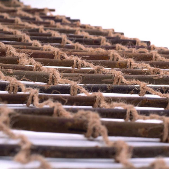 treillis mural plantes grimpantes